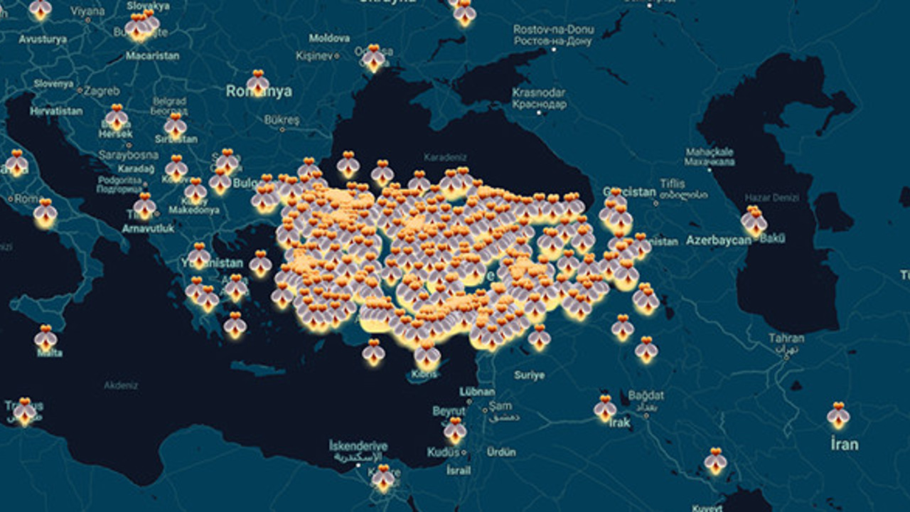 BM'nin internet sitesinde dikkat çeken Türkiye haritası