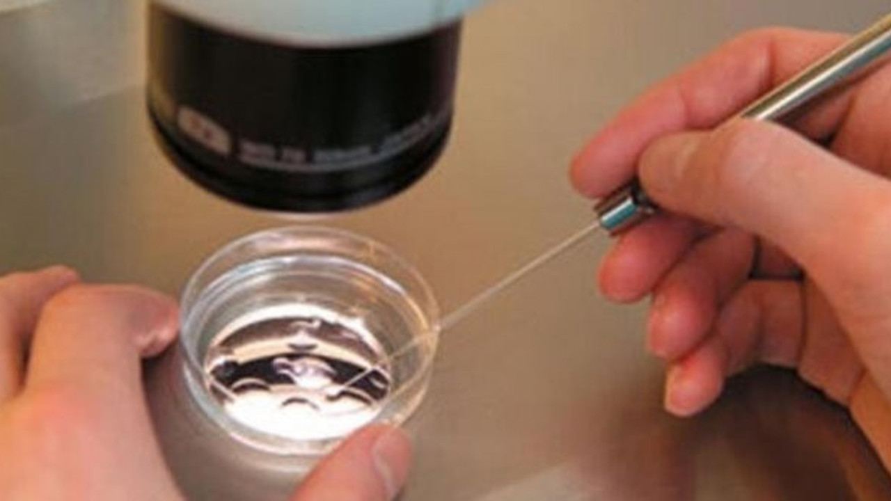 'Kısırlığa son' lafını duydunuz mu, kaçacaksınız!