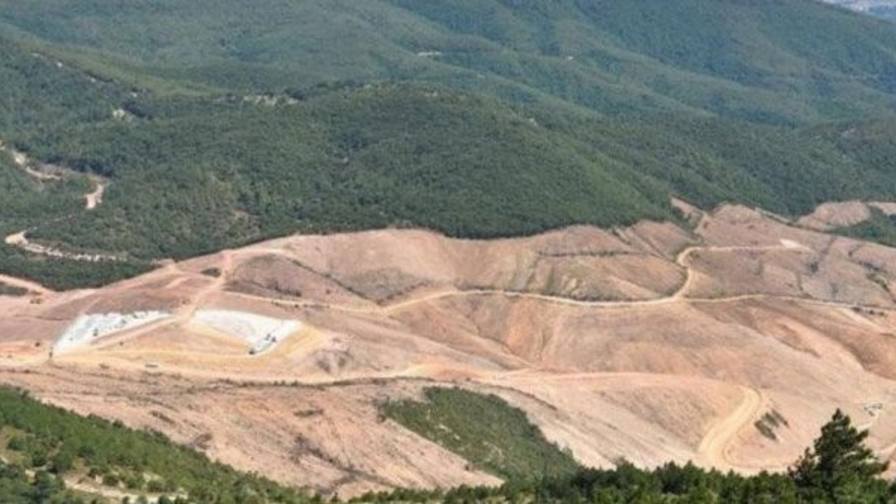 Kaz Dağları'nı katleden şirketten flaş karar!