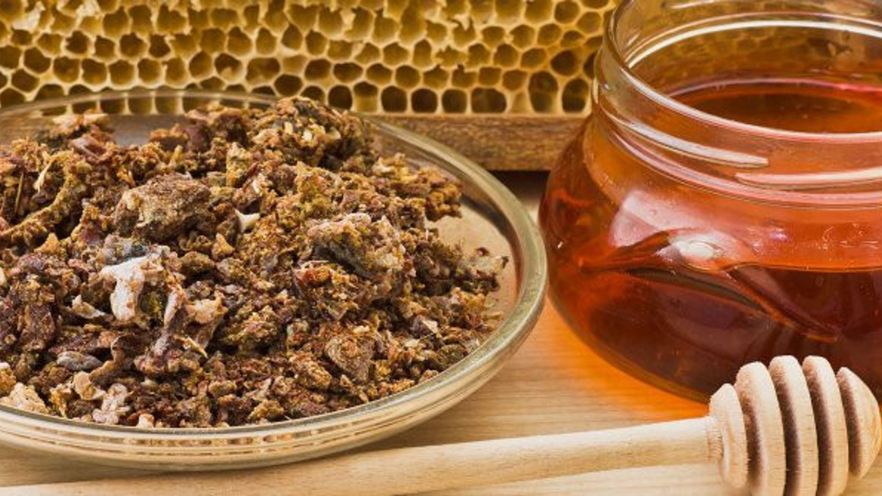 Propolis, antibiyotik ihtiyacını azaltıyor