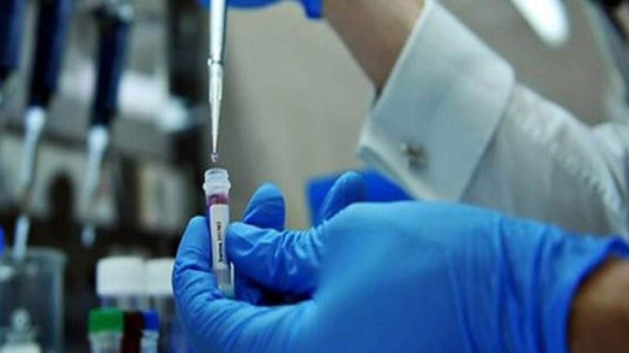 Ürdün'de domuz gribi vakası 90'a yükseldi