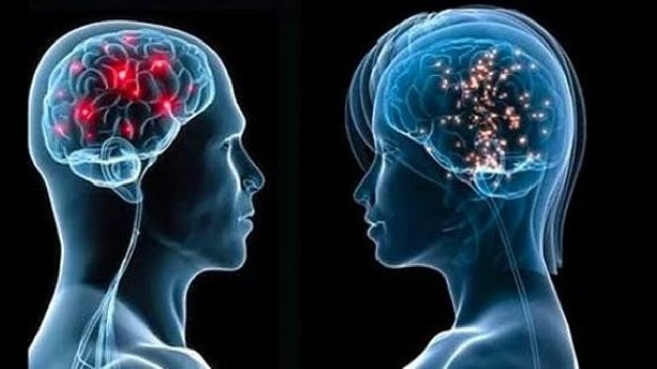 "Beyni kullanmadığınızda beyin küçülüyor"