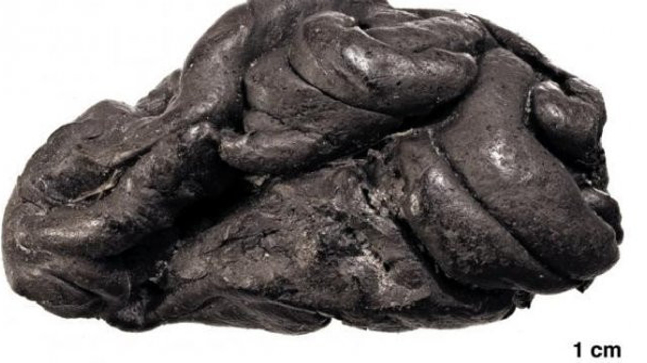 5.700 Yıllık çiğnenmiş sakızda, tam insan genomu!