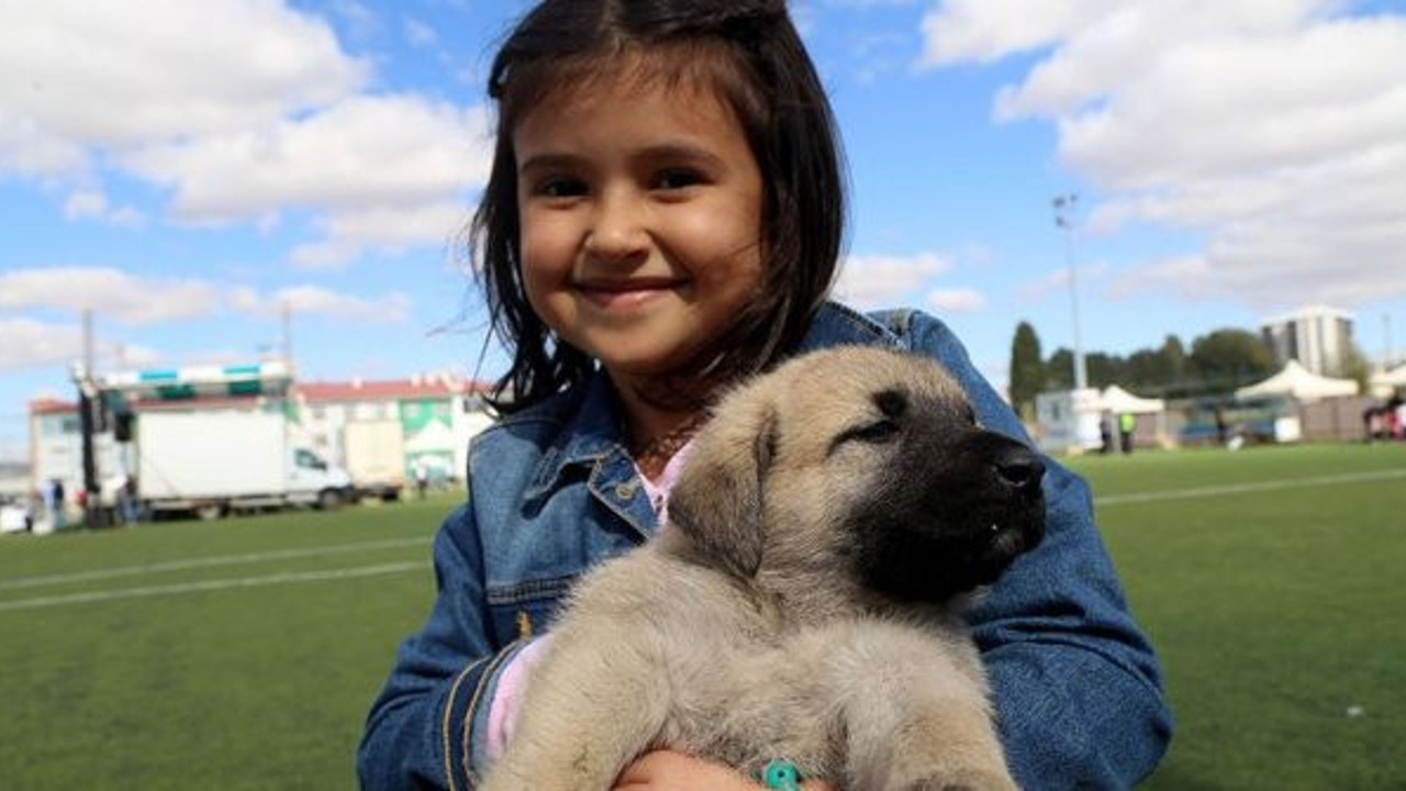 Köpek beslemek şizofreni riskini azaltıyor