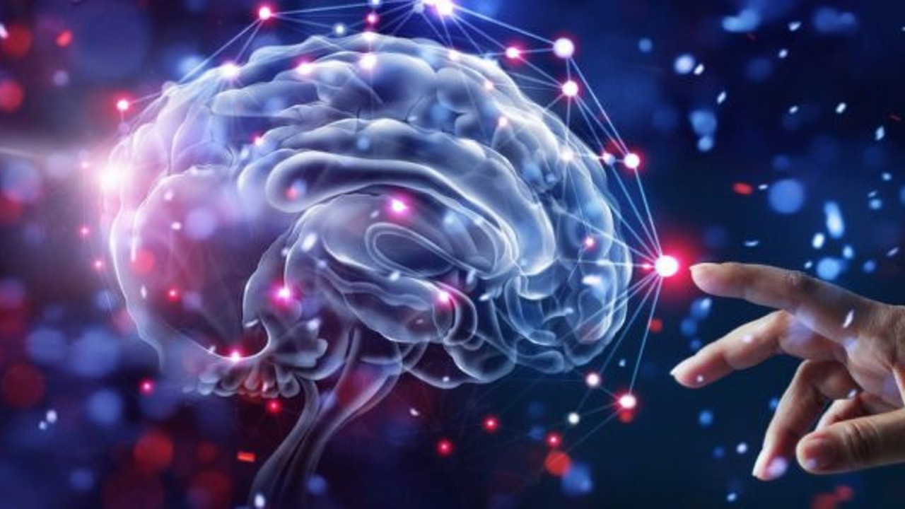 İnsan beyninde yeni tür bir sinyal keşfetti