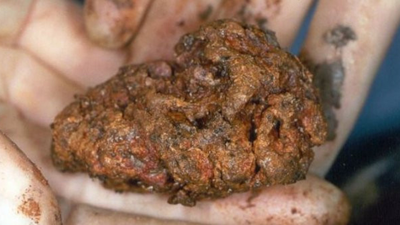 2600 yıl önce gömülmüştü! Sapasağlam bulundu