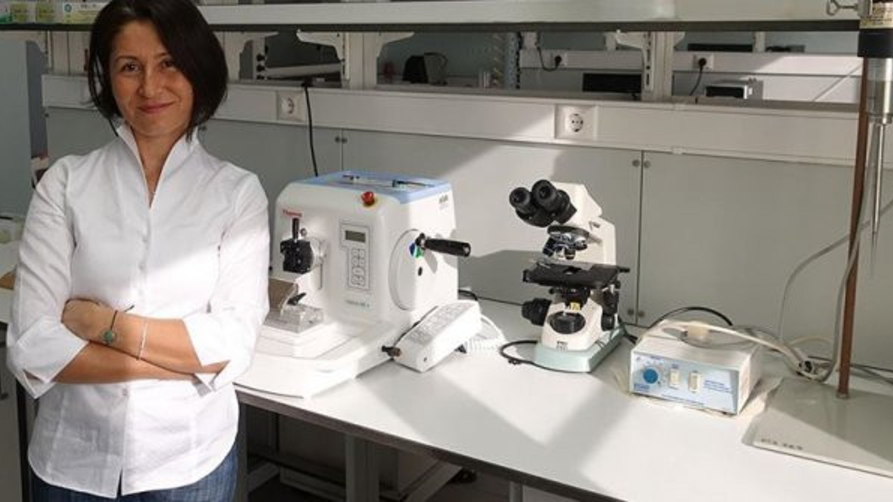 Türk Bilim insanları kanıtladı ağrıyı azaltıyor