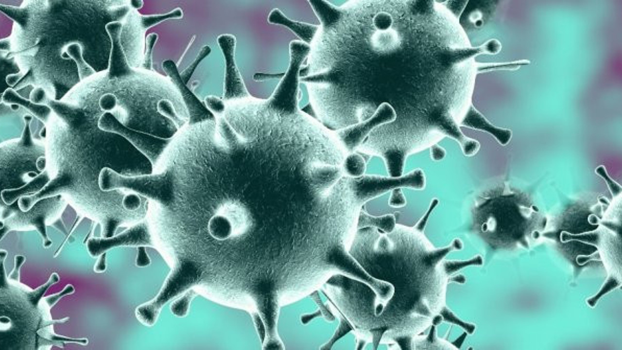 Coronavirüste korkutan grafik: Yüzde 38 arttı