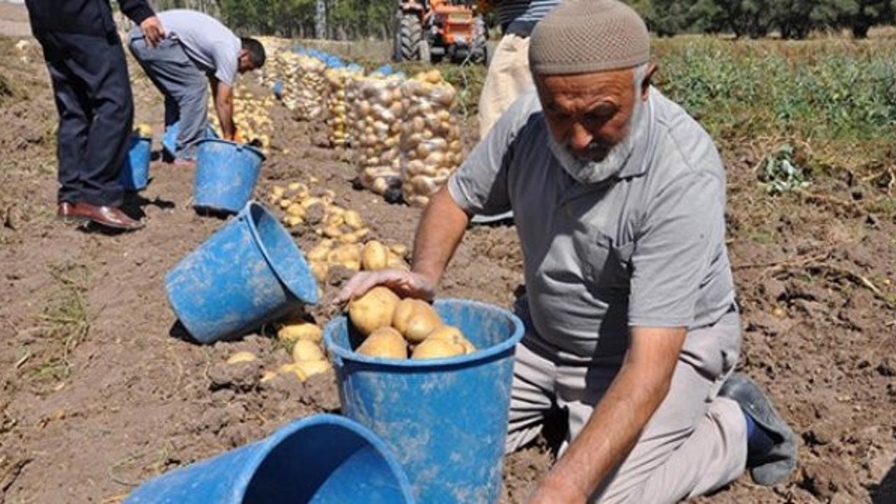 CHP'li Ömer Fethi Gürer: En büyük zulmü çiftçiler görüyor