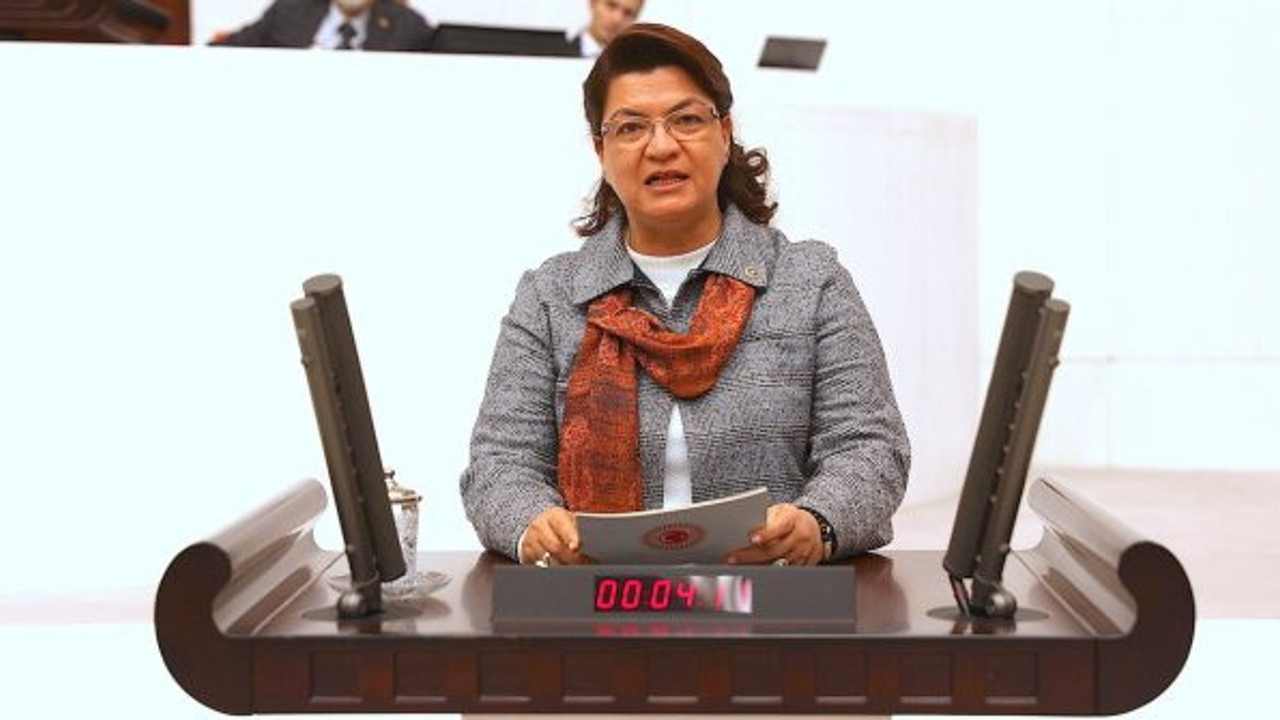 Suzan Şahin: Gazilerin emekli maaşını kesmek aymazlıktır!
