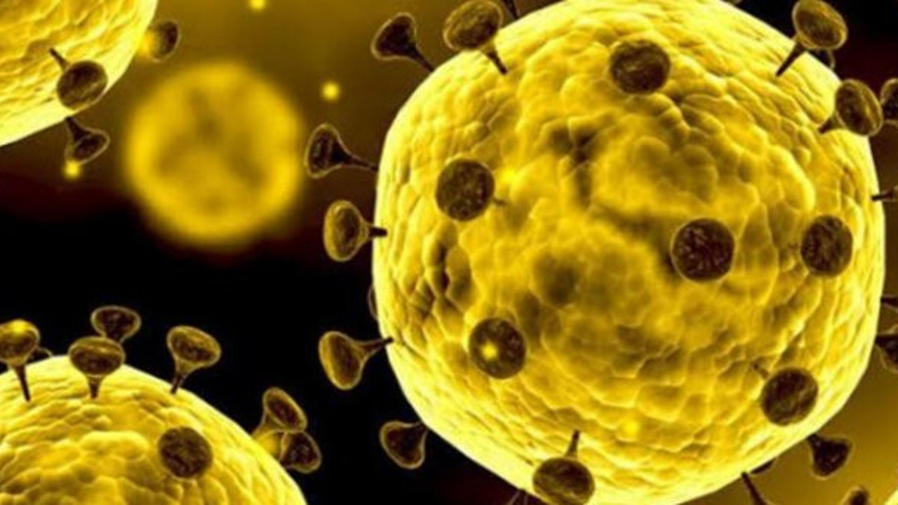 Coronavirüsünde dünyayı dehşete düşüren rekor!