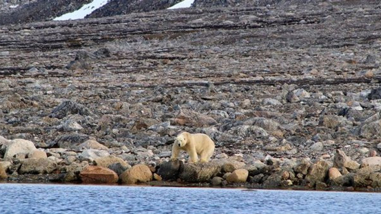 Antartika'da rekor! Kutup bölgeleri hızla ısınıyor