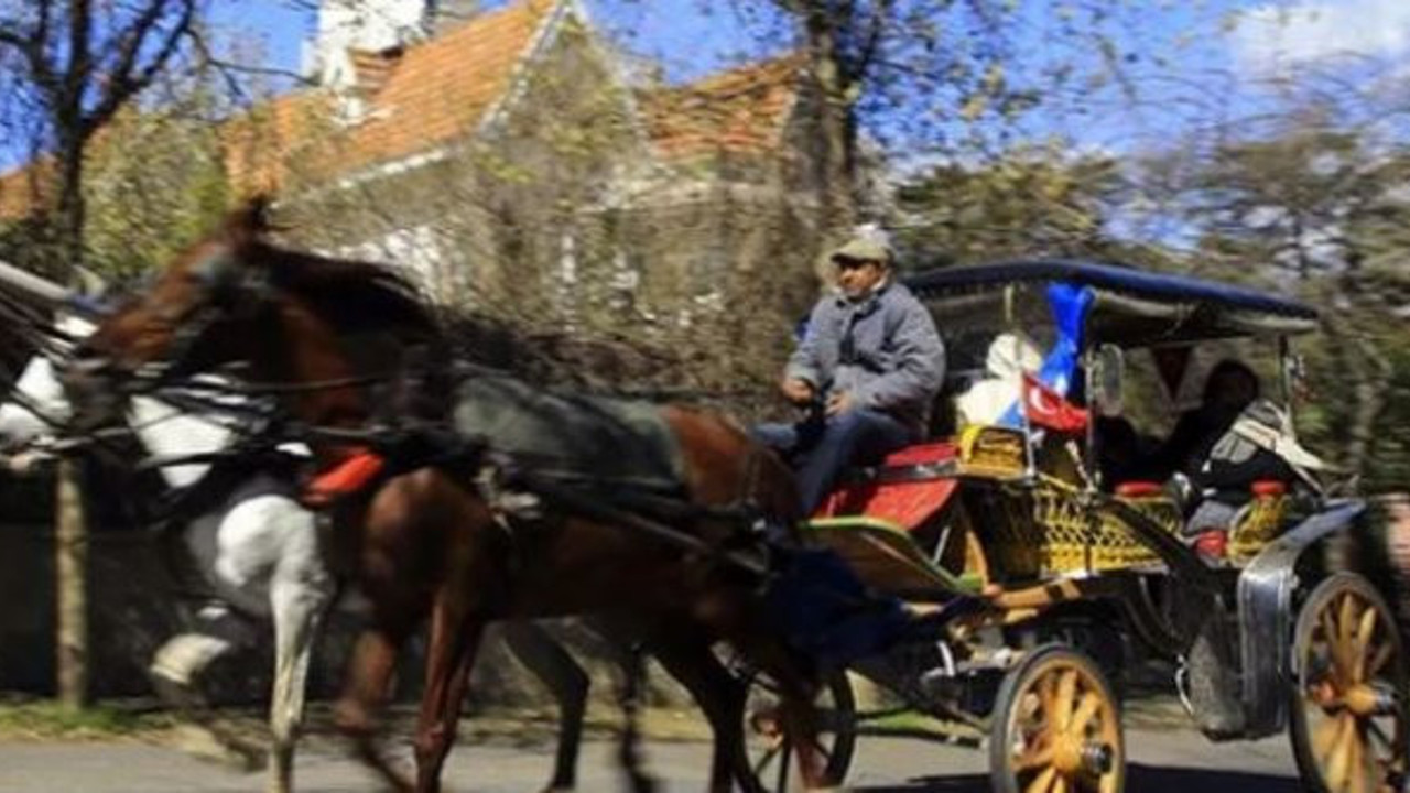 Adalar'daki faytonlarda yeni gelişme!