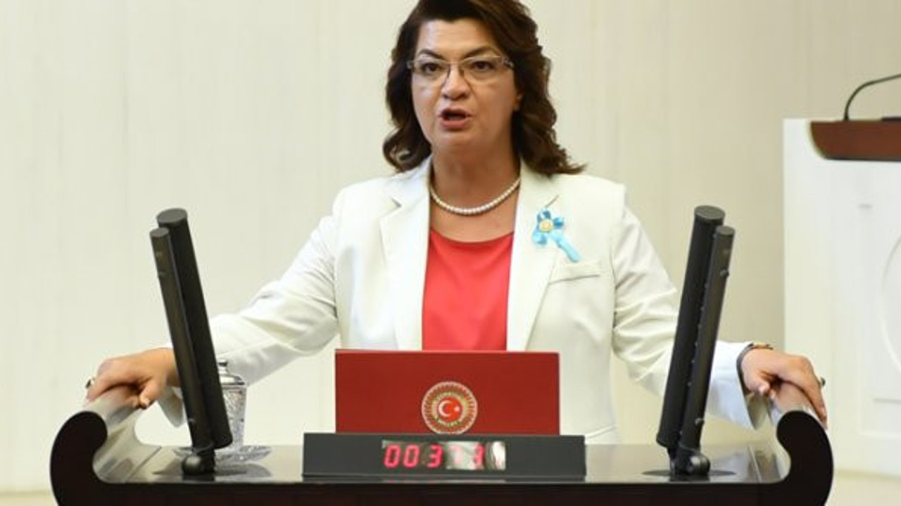 Suzan Şahin: "Hükümet, Türk tarımına ihanet etti"