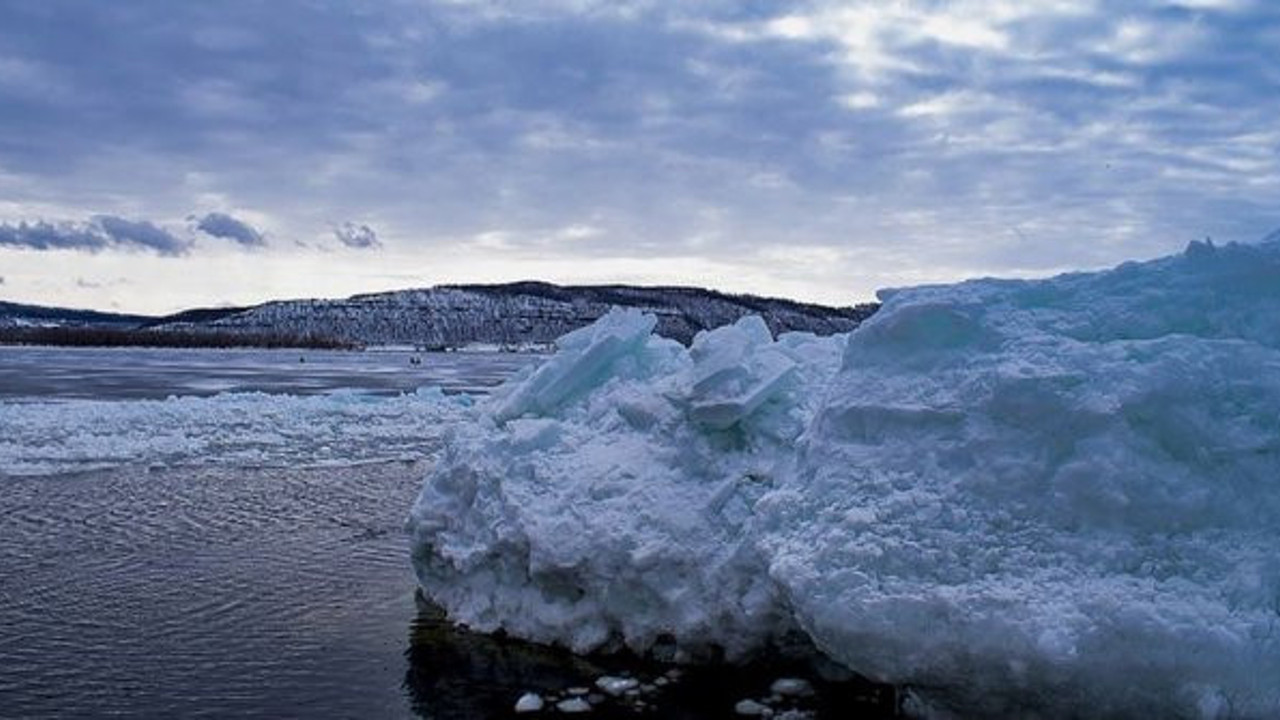Sibirya'da Buzul Çağı'ndan kalma kuş kalıntısı!
