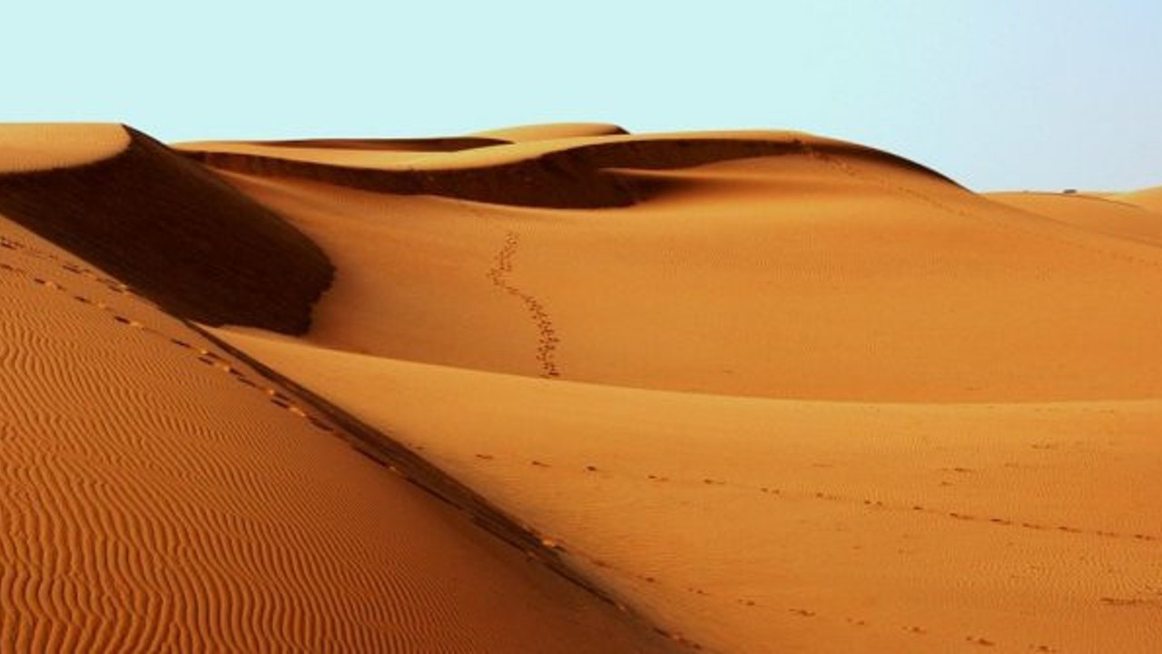 Yüzde 80'i çöl olan Türkmenistan 10 bin ton kum alacak!