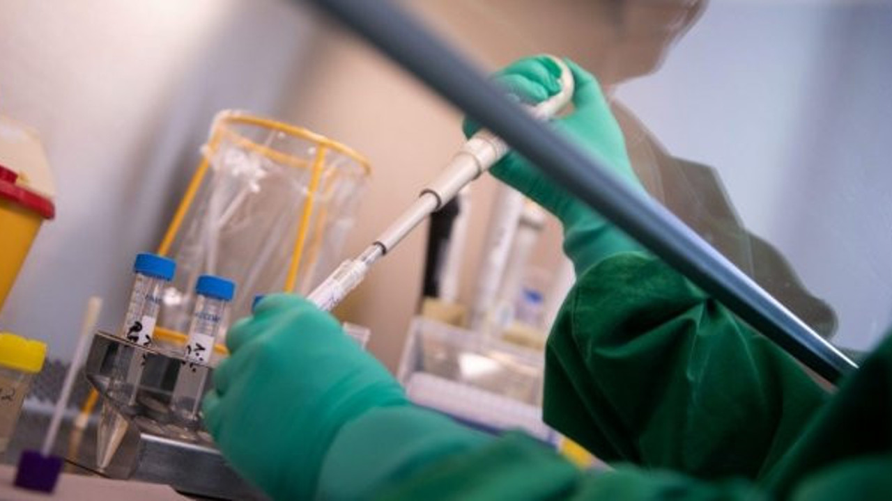 Coronavirüsün üçte ikisi tespit edilmedi mi?