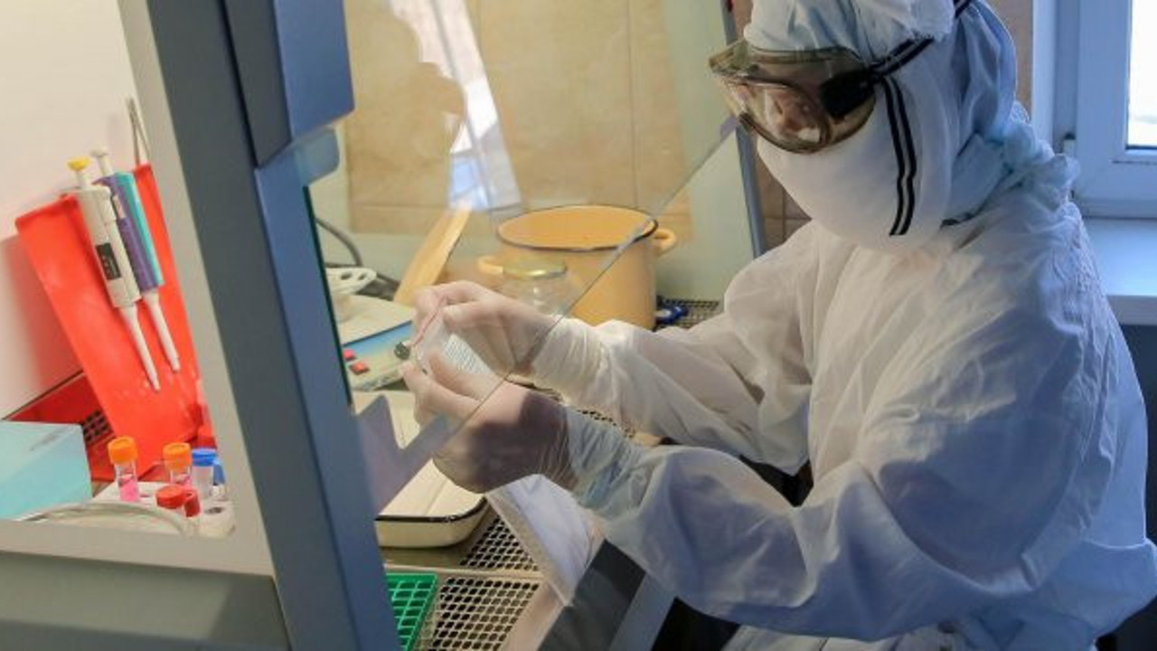 Corona virüs Bulgaristan'a da sıçradı