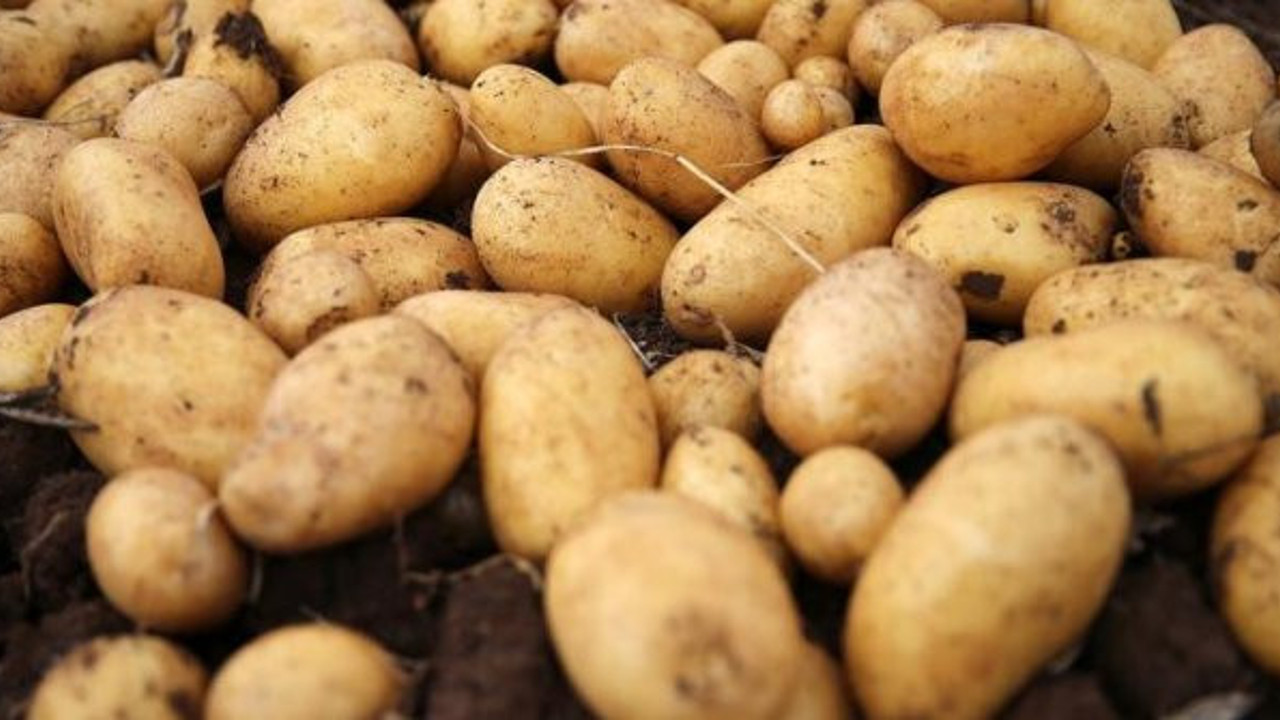 Sosyete manavında patates kavgası