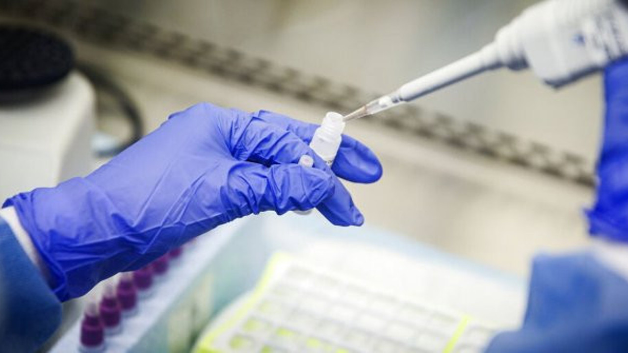 DSÖ korona aşısı için tarih verdi