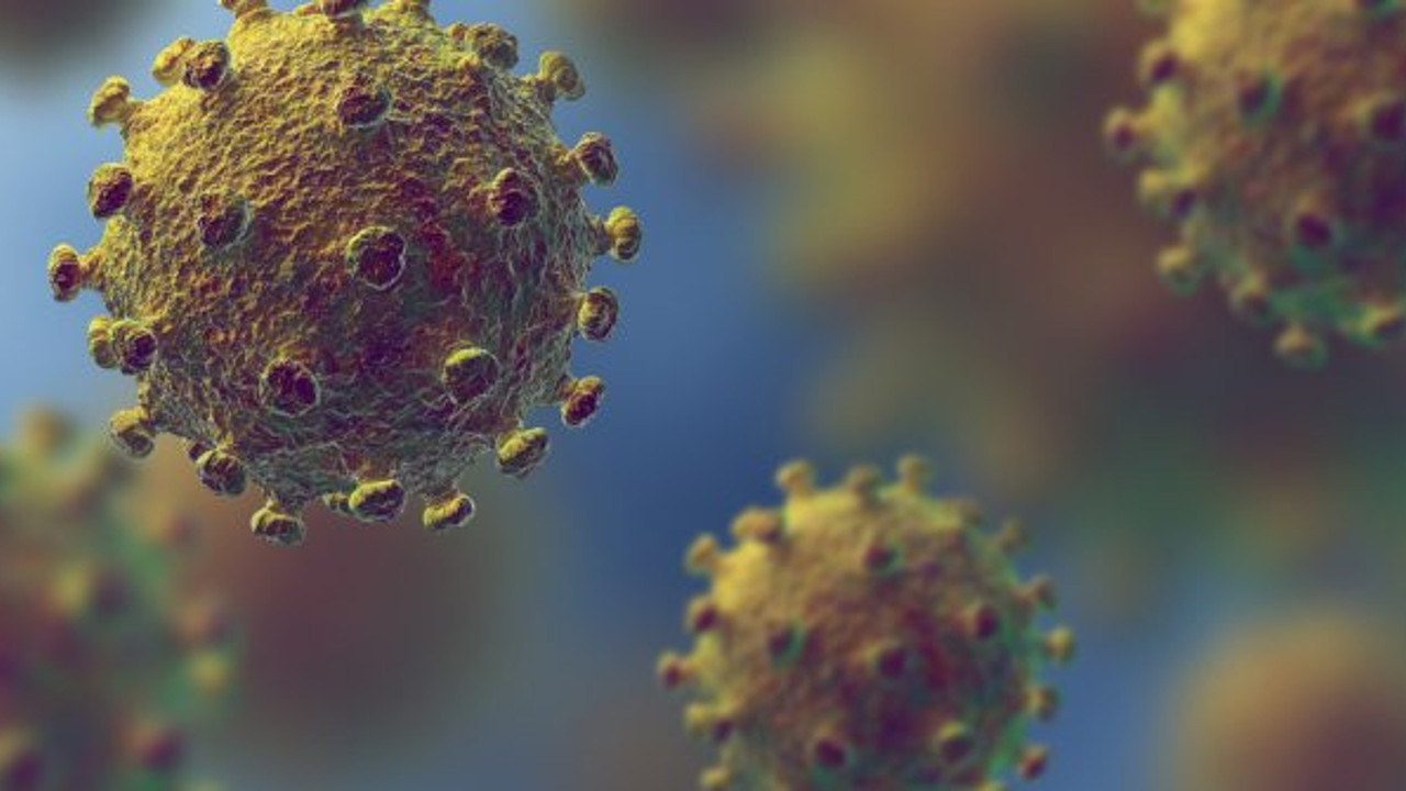 Ekonomist Özcan Kadıoğlu'ndan korona virüs uyarısı