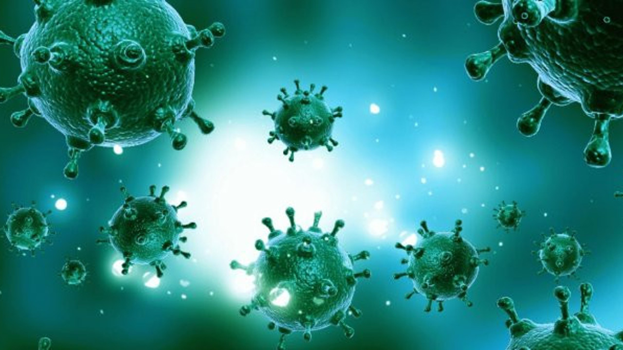 Dünya Sağlık Örgütü’nden korkutan açıklama: ‘Salgın bitmiyor’