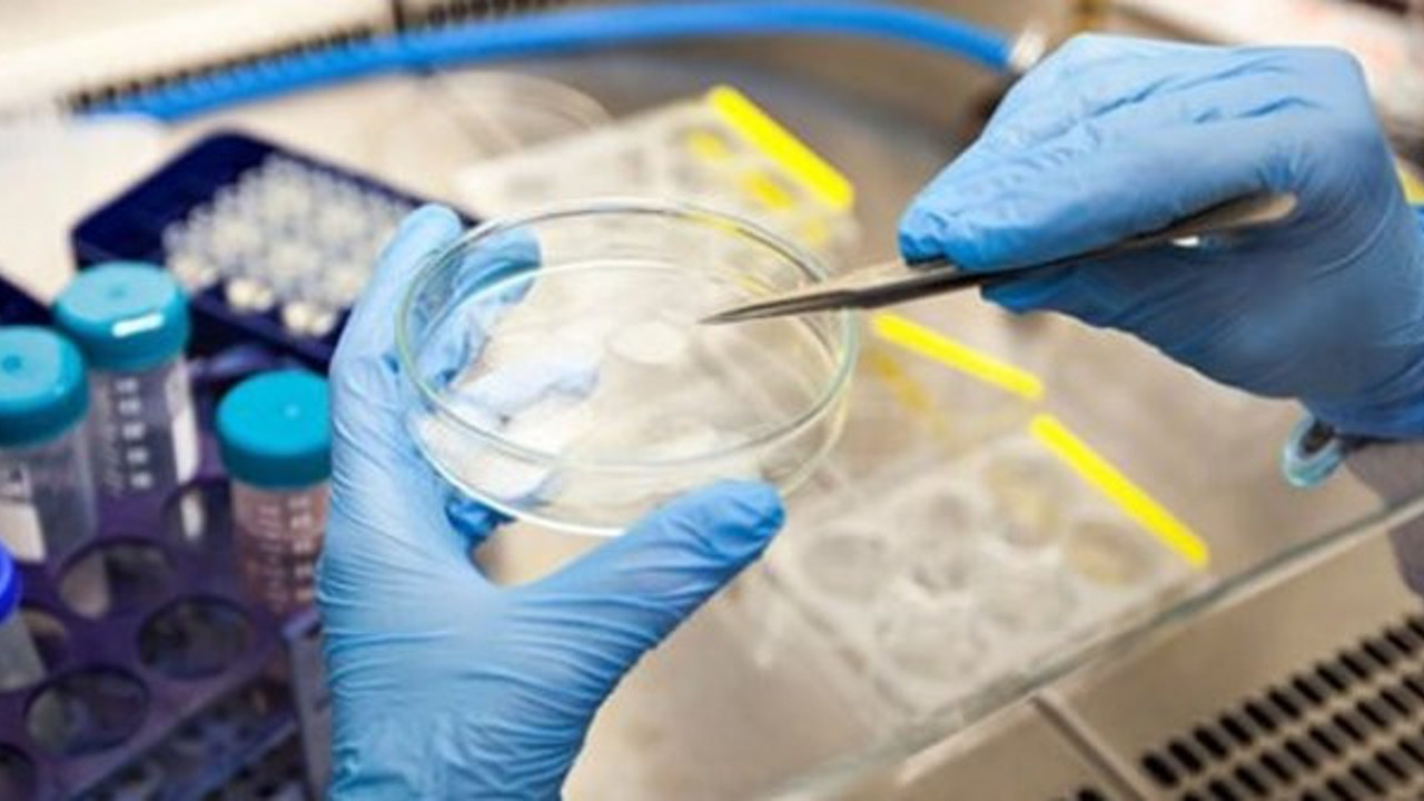 Ünlü İngiliz gazetesi gizli belgeyi açıkladı: Hükümet salgın için bir sene önceden uyarıldı