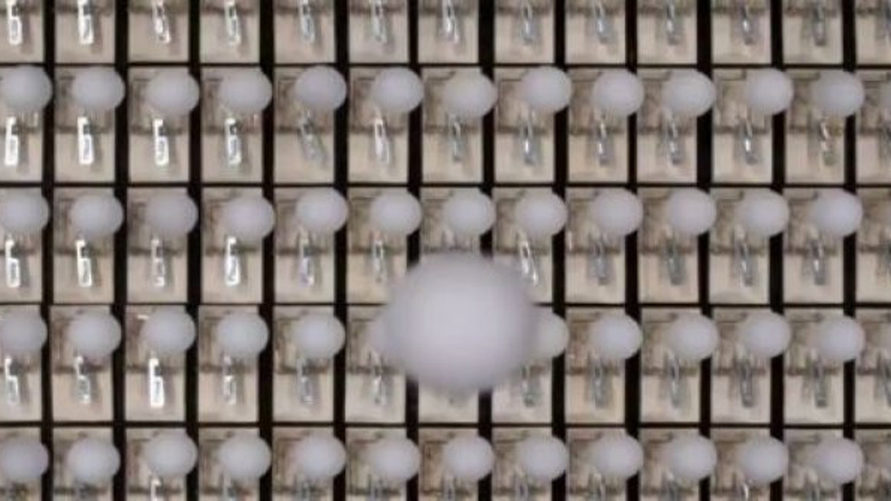 Domino etkisi: İzleyince şok olacaksınız