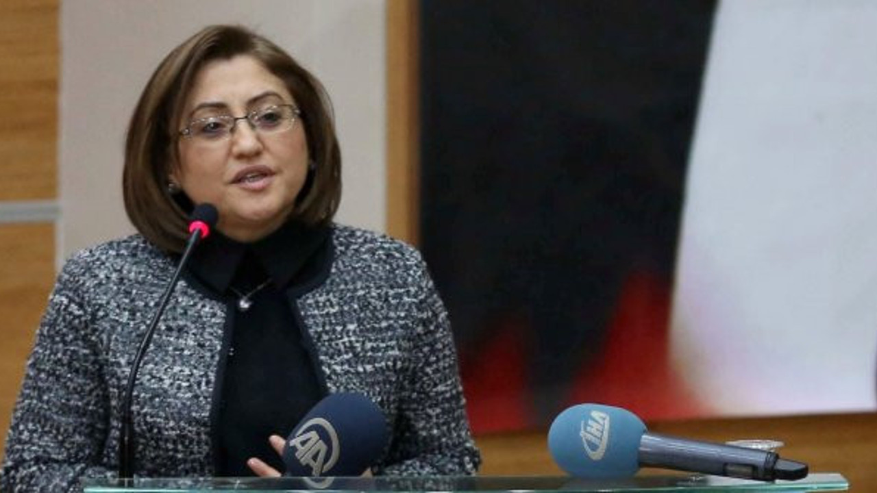 Tayyip Erdoğan'ın sözlerini eleştiren AKP'li Fatma Şahin'den geri adım