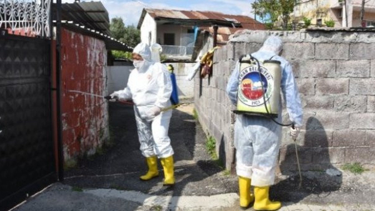 CHP'li Belediye Başkanı Hülya Erdem tulum giyip sokakları ilaçladı