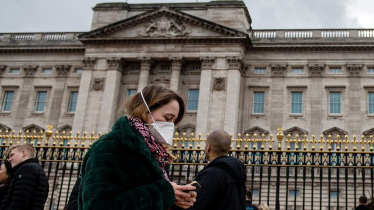 Bilim insanları açıkladı: Salgının esas sebebi! Acilen durdurun