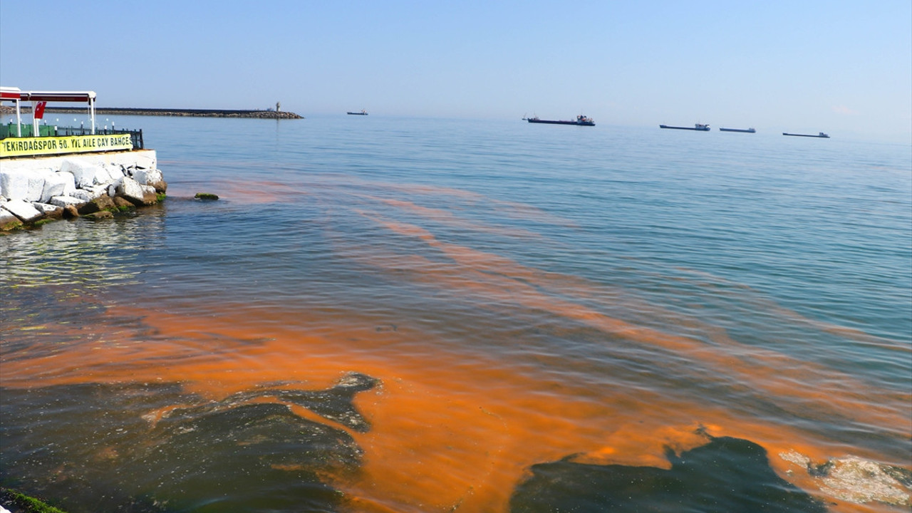 Görenler şok oldu! Marmara Denizi'nin rengi değişti