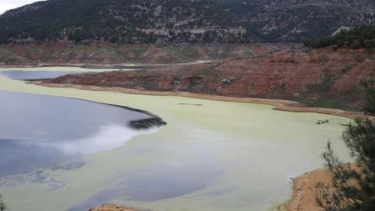 Akademisyenden açıklama: Türkiye'de ilginç doğa olayı