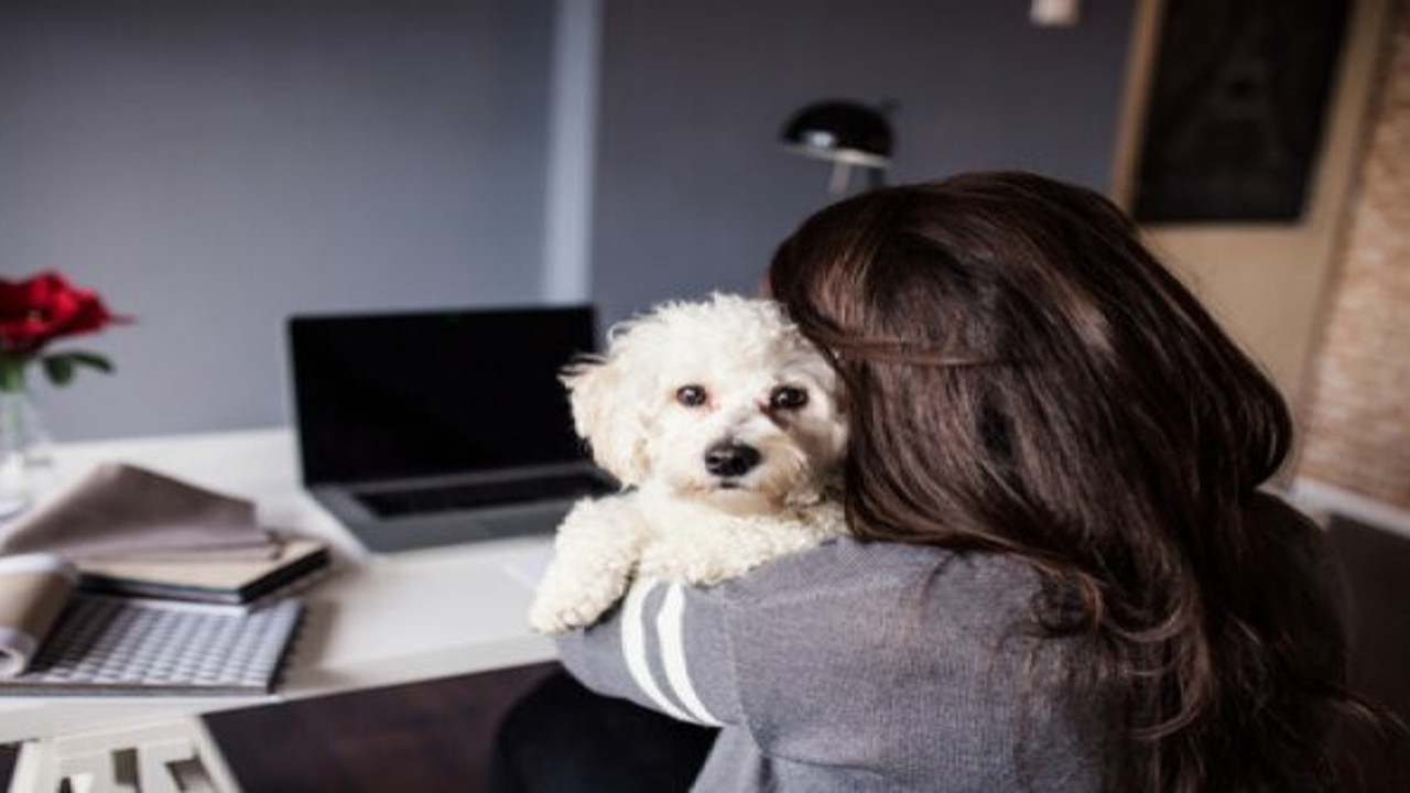 Sağlık Bakanlığı açıkladı, korona tanısı konulan kişilere evcil hayvan uyarısı
