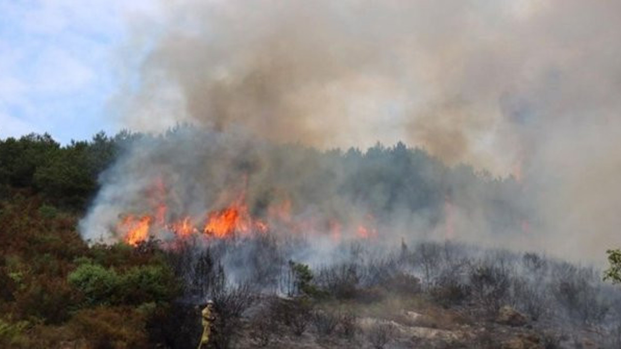 İşte adalet budur, müebbet ve 25 yıl hapis cezası aldı