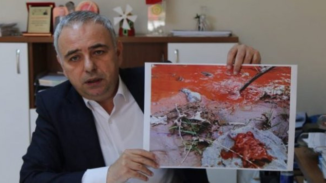 Maden ocağı dereyi kırmızıya çevirdi: Çevre kirliliği gizlenmek mi isteniyor?