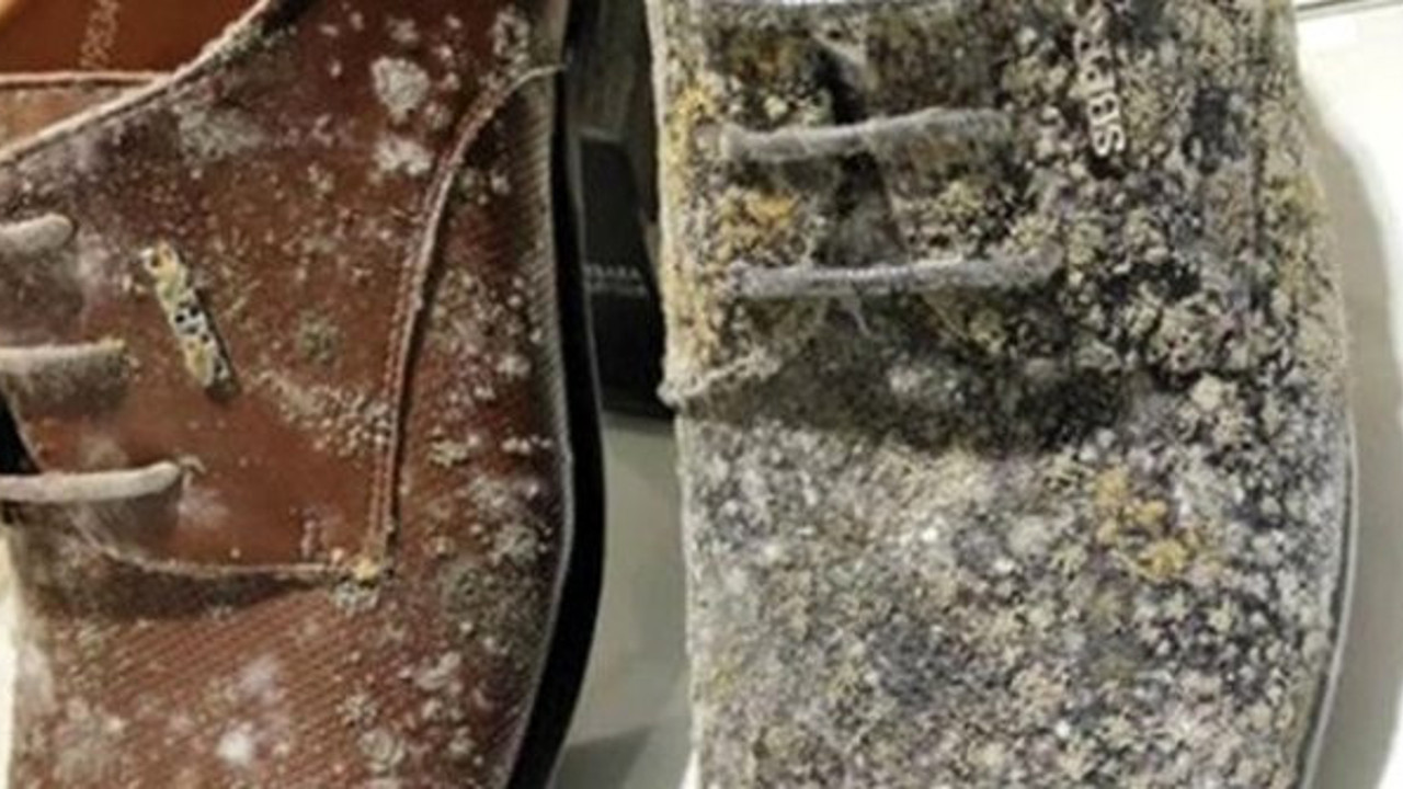 2 aydır karantinada kalan ayakkabılar bakın ne hale geldi