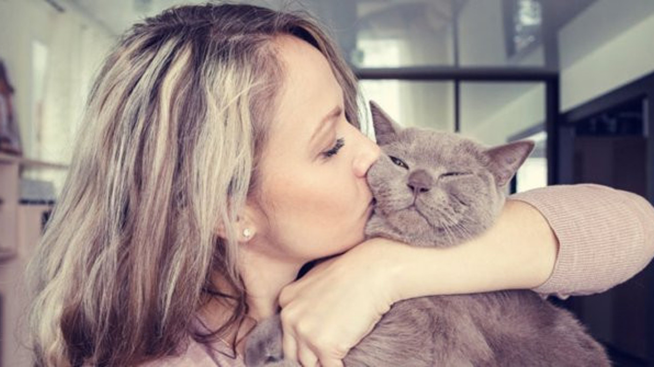 Kovid-19 kedilere bulaşıyor ve...