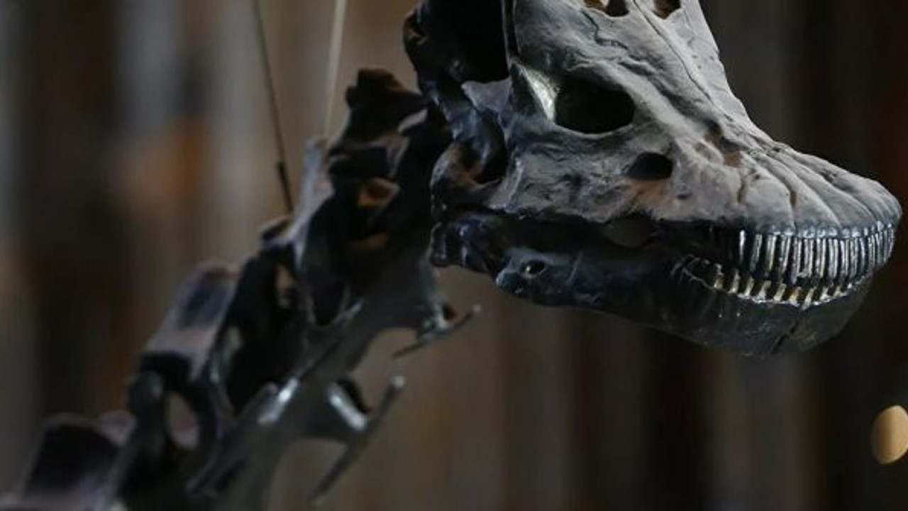 Arjantin'de 10 metrelik dinozor fosili bulundu