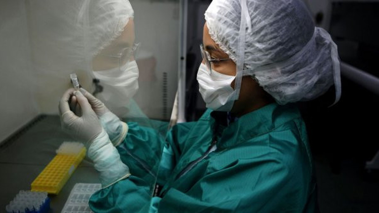 1500 farklı virüs tespit edildi: Yeni tehlikeler kapıda