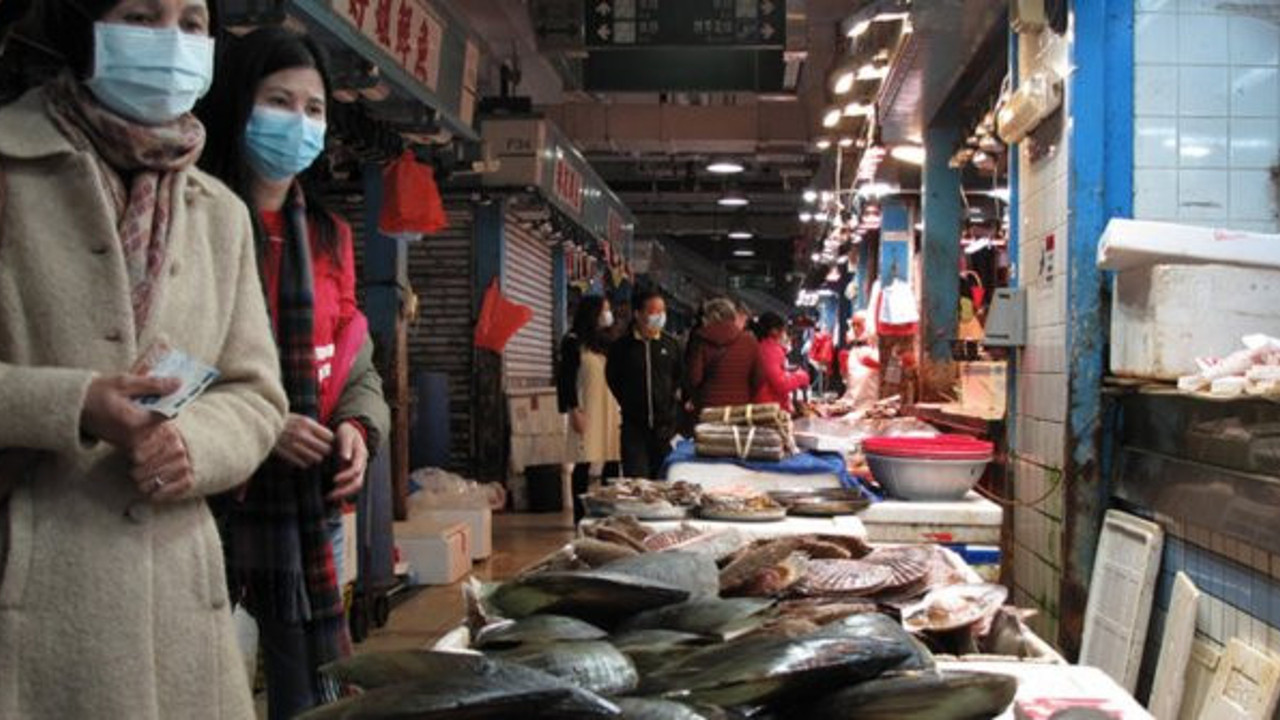 5 milyon kişi koronaya yakalandı: Vuhan'da vahşi hayvan yenmesi tamamen yasaklandı