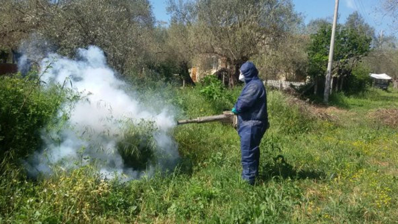 Korona virüs sineklerden bulaşır mı?