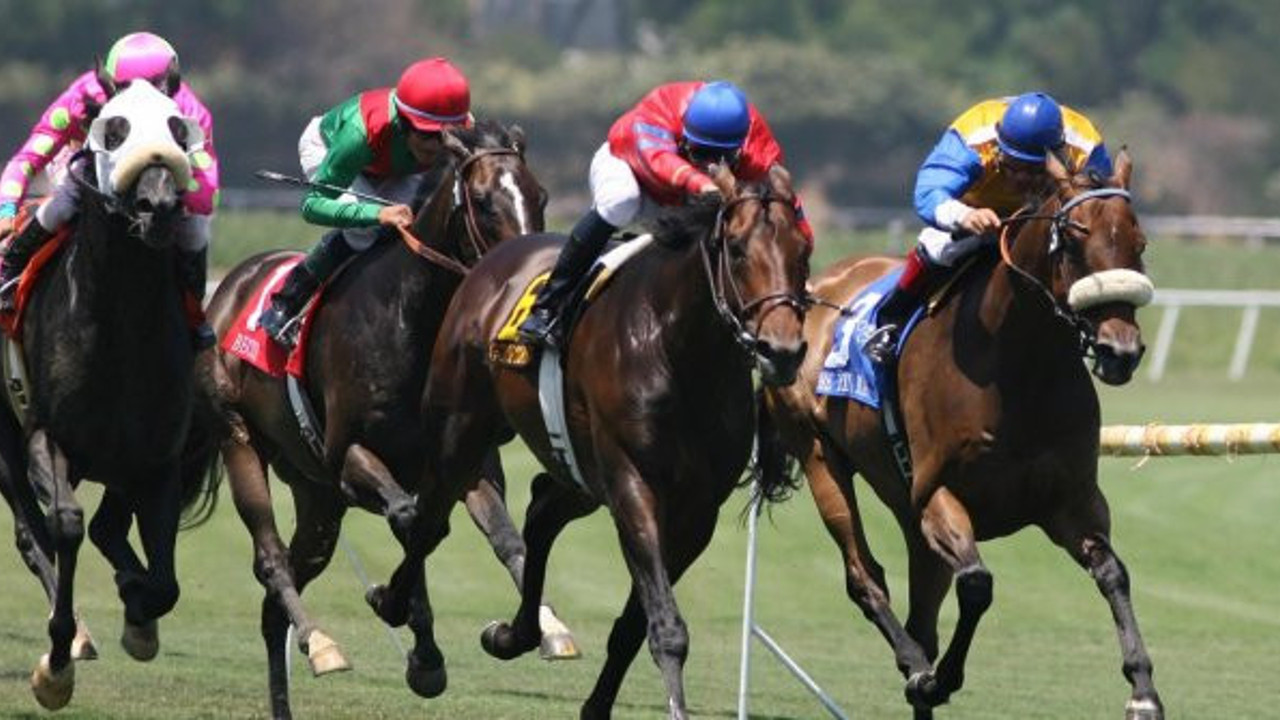 İşte at yarışlarının başlayacağı tarih