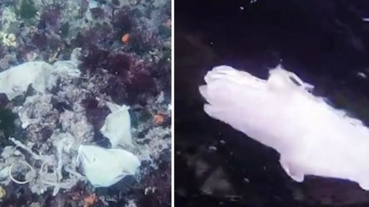 İstanbul Boğazı maske ve eldiven doldu