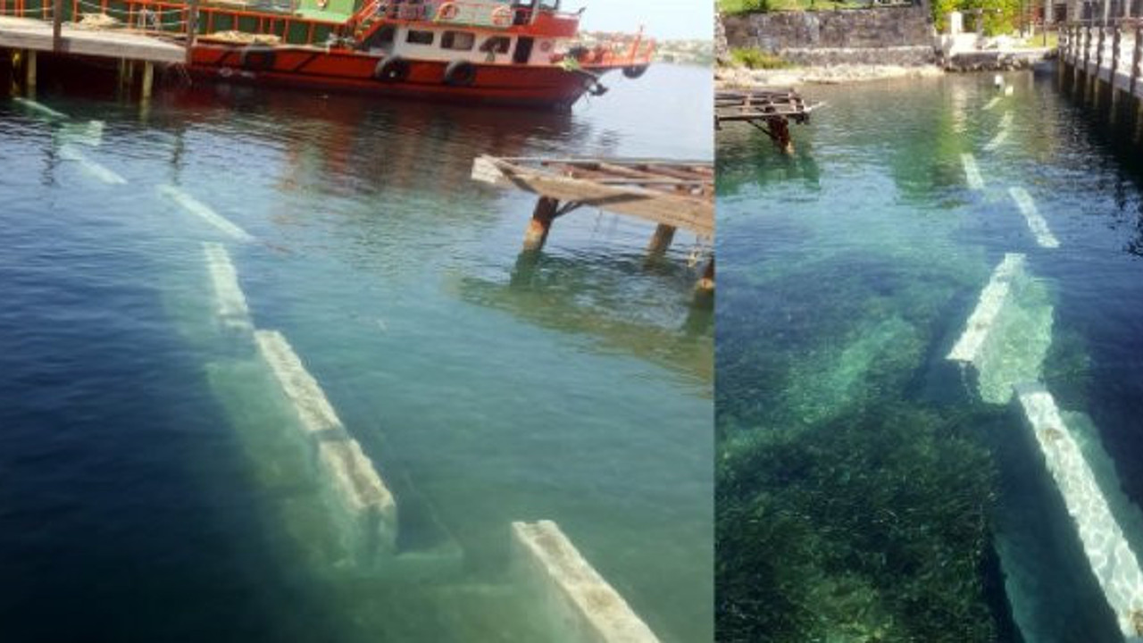 Bodrum'da büyük skandal: Torbalar halinde sahile getirip, bıraktılar