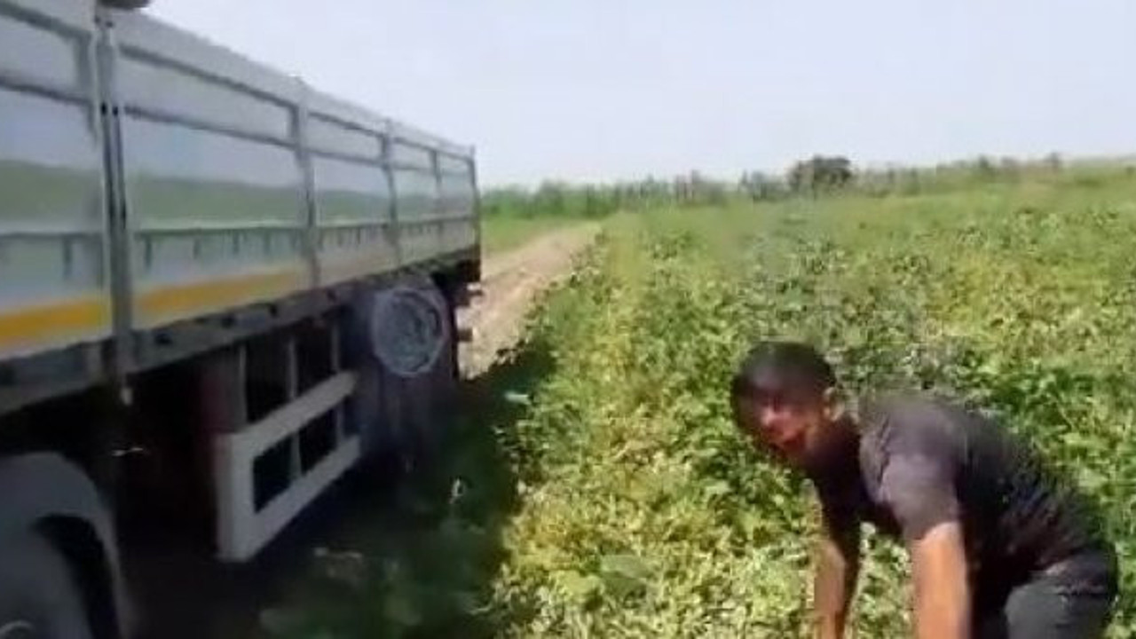 Acun bunu görse kıskançlıktan çatlardı