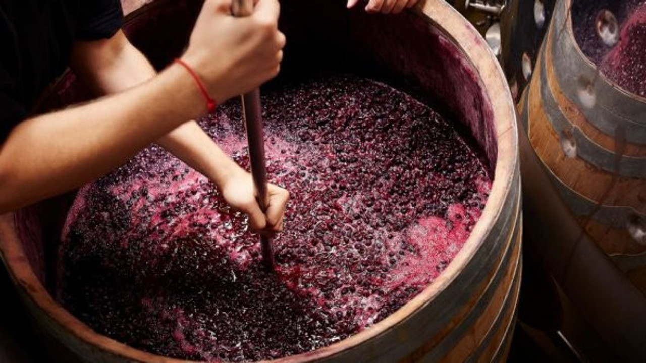 Şaraplar, korona virüs ile mücadelede kullanılacak