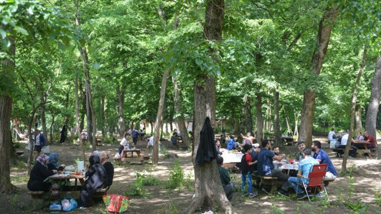 Normalleşme kuralları yerine 'orman kanunu'