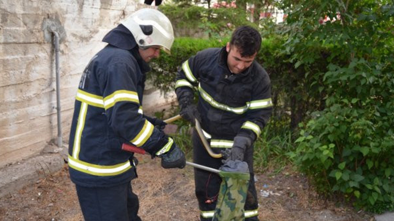 Site bahçesinde yılan operasyonu