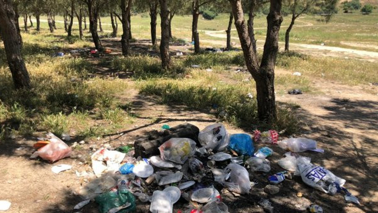 Piknik alanında çöp dağı